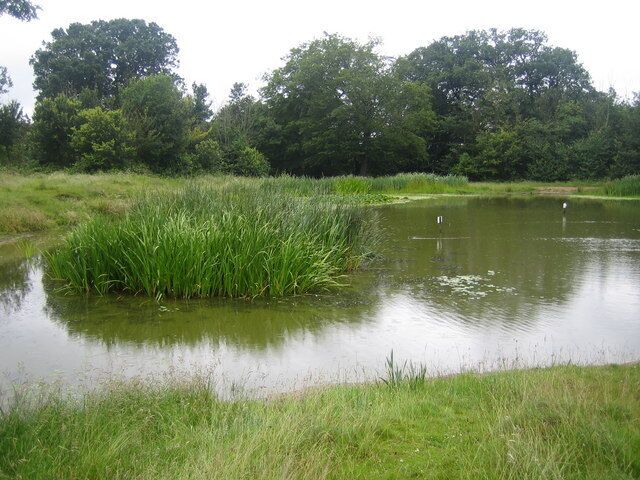 Barn Hill pond One of several ponds in Fryent Country Park this one at the top of Barn Hill is reputedly the only one with fish, and was created to the design of the landscape architect Humphrey Repton in about 1793 for the then landowner Richard Page. The water level is about 83 metres above sea level.