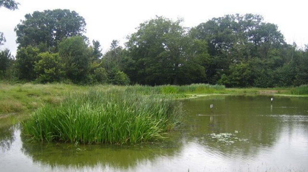 Barn Hill pond One of several ponds in Fryent Country Park this one at the top of Barn Hill is reputedly the only one with fish, and was created to the design of the landscape architect Humphrey Repton in about 1793 for the then landowner Richard Page. The water level is about 83 metres above sea level.