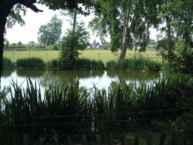 Pond at Oakley Road The pond, used for hobby fishing.
