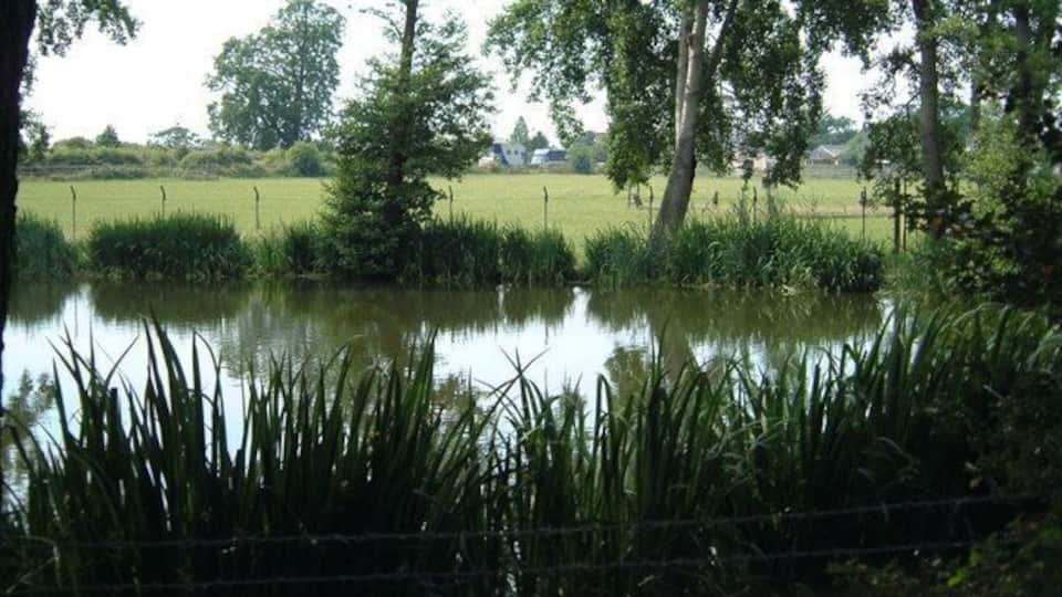 Pond at Oakley Road The pond, used for hobby fishing.