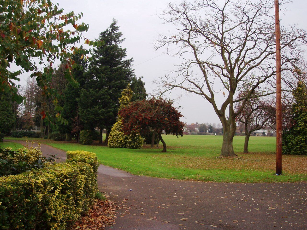 Just north of Wembley. Photo taken November 2007. Owner: London Borough of Brent.