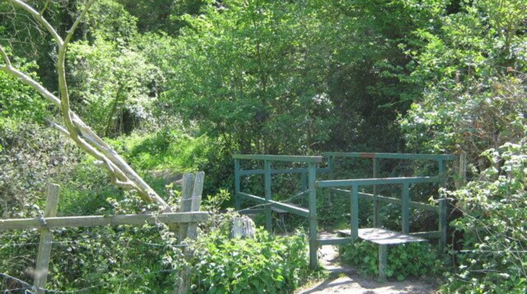 Footbridge over ditch This storm drain ditch is on the border between the London Borough of Bexley and Kent. The trees are in Dartford Heath, a large lowland common managed by Dartford Borough Council. The footbridge is on a footpath from Cold Blow Crescent to Portman Close.