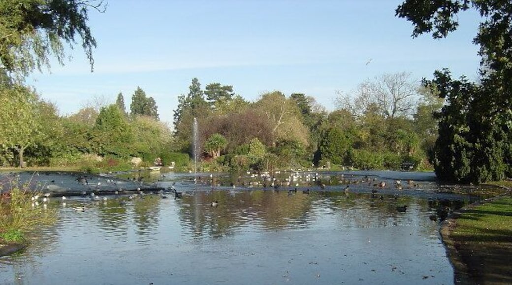 Pinner Memorial Park: The Pond