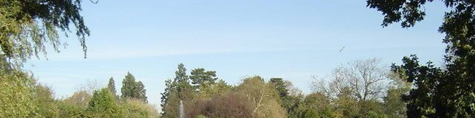 Pinner Memorial Park: The Pond