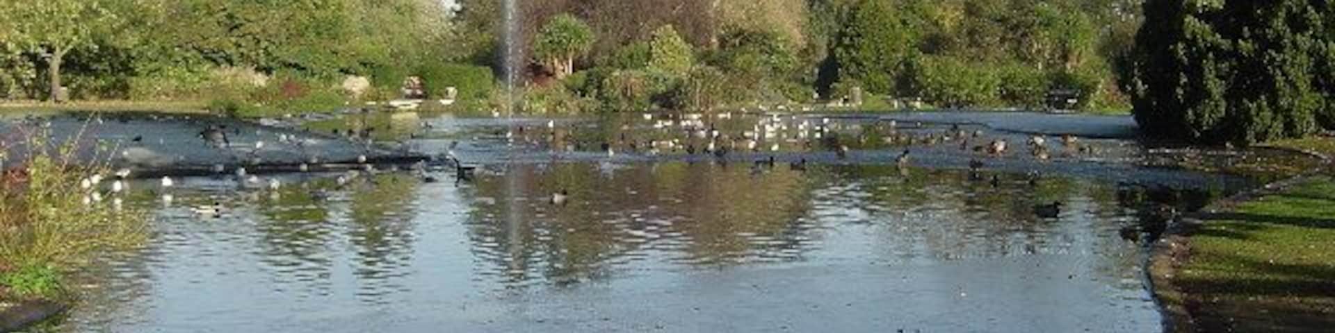 Pinner Memorial Park: The Pond