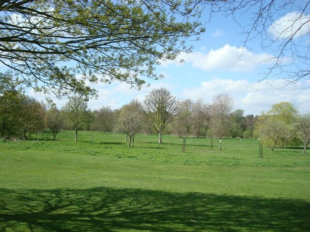 A grassy field with trees and a clear sky.