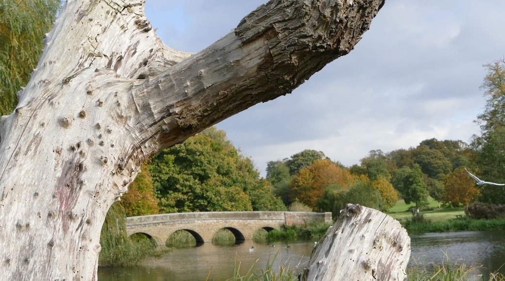 Beautiful parklands very relaxing especially along the river