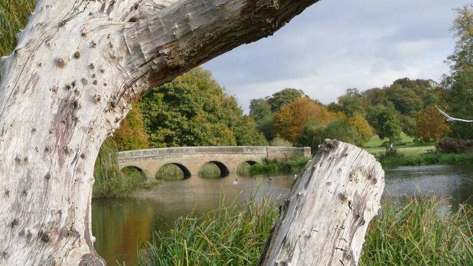 Beautiful parklands very relaxing especially along the river