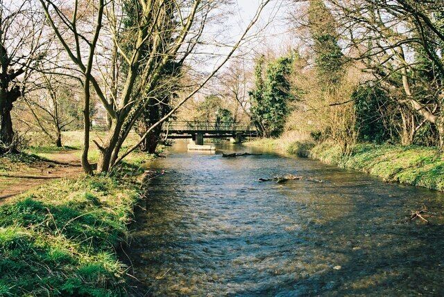 A river with a bridge in a wooded area.