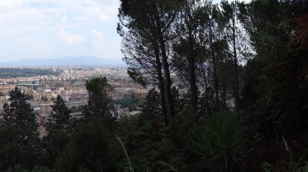 Monte mario panorama