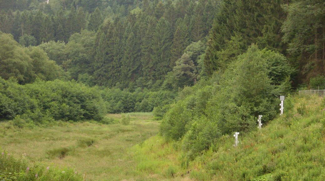 Ehemalige Untere Herbringhauser Talsperre, Wuppertal, Nordrhein-Westfalen