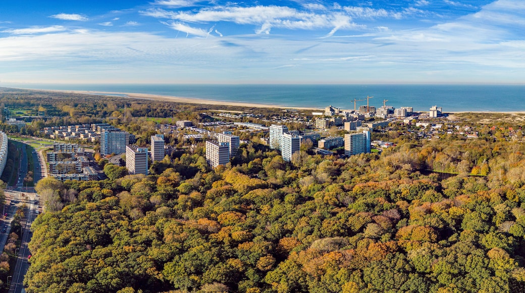 บอเฮเมน แอนด์ เมียร์ เอ็น บอส