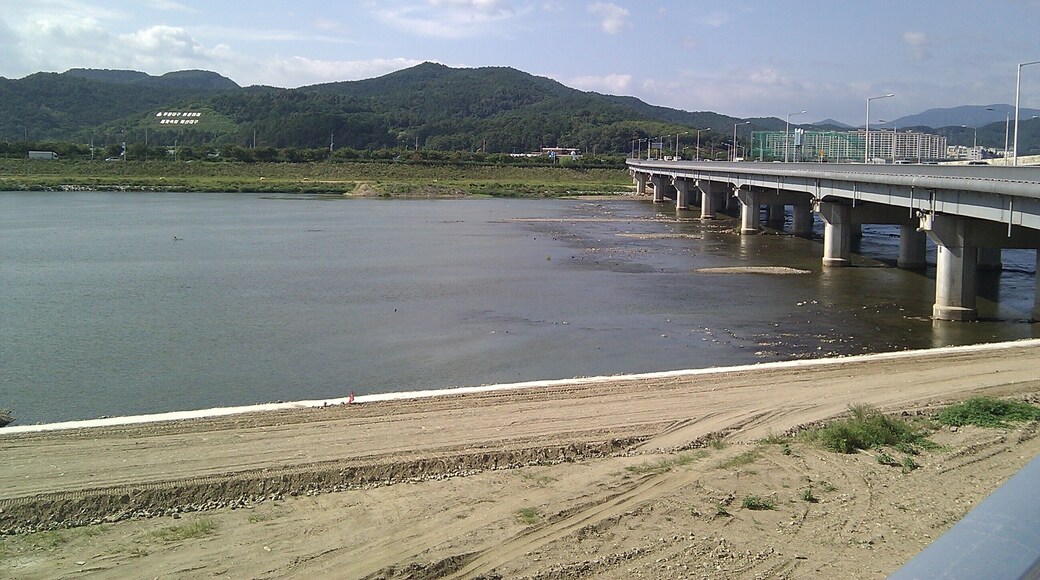 4대강 정비 사업 구역 중 금호강 지류 정비공사