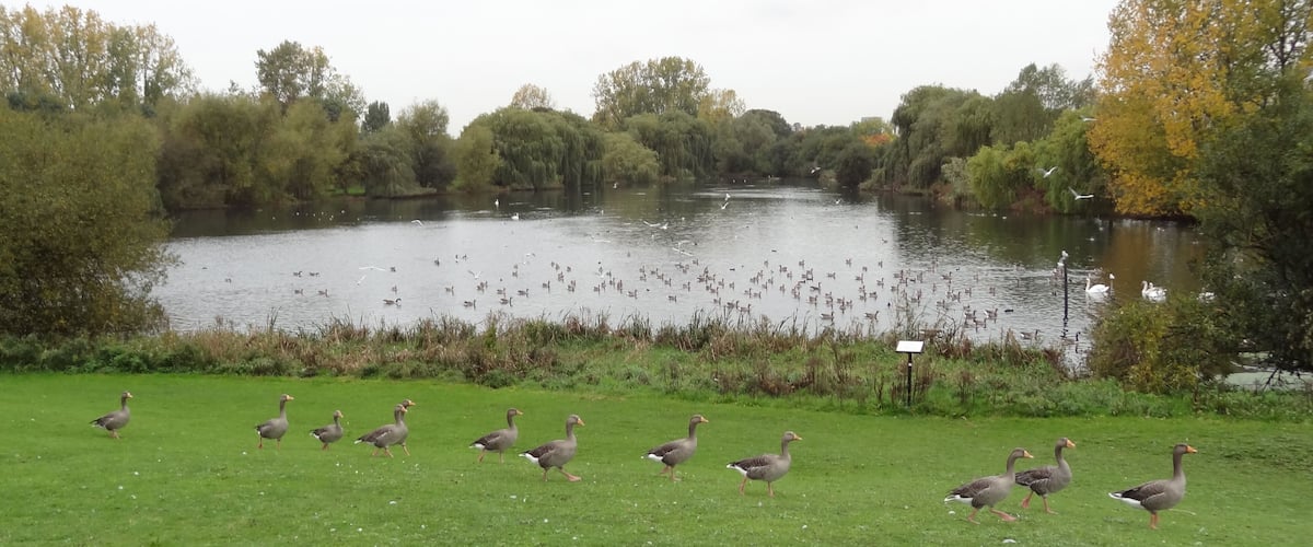 South Mayesbrook Park, designated a Local Nature Reserve, in Dagenham, London
