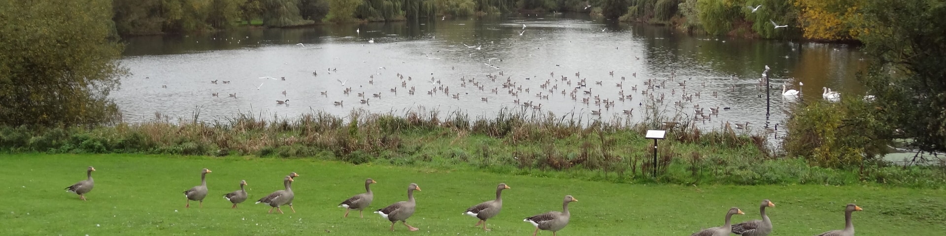 South Mayesbrook Park, designated a Local Nature Reserve, in Dagenham, London