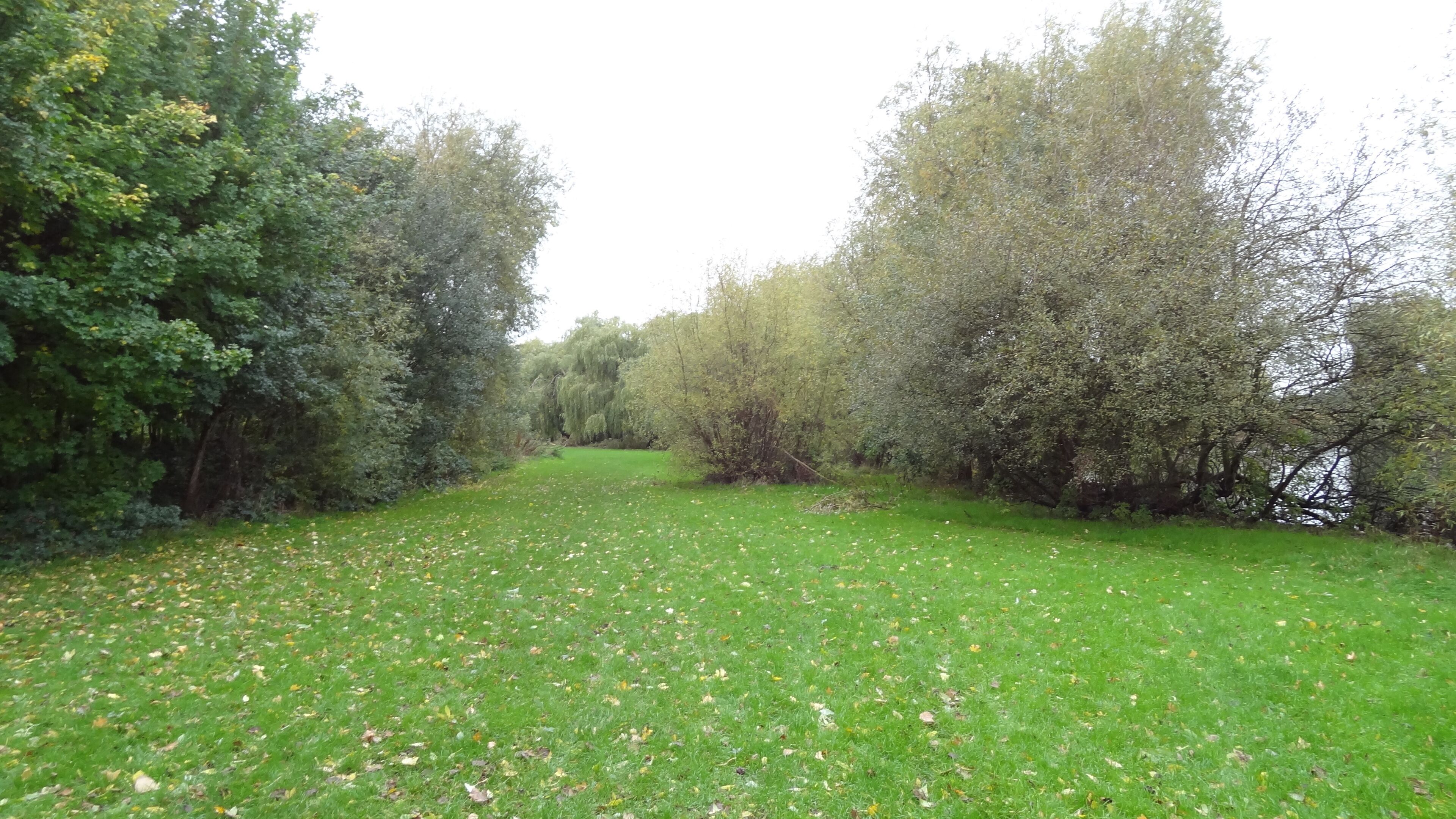 South Mayesbrook Park, designated a Local Nature Reserve, in Dagenham, London
