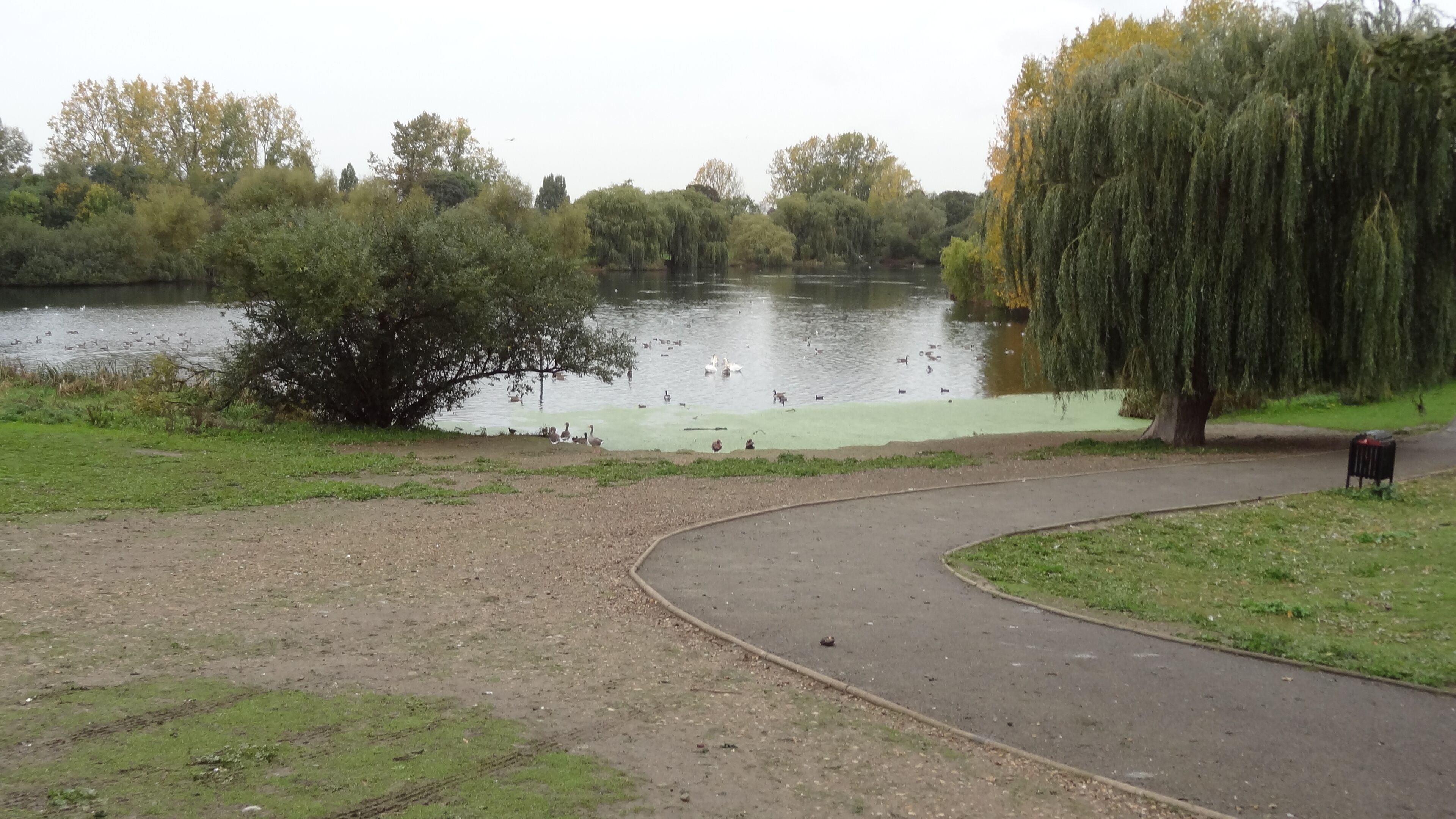 South Mayesbrook Park, designated a Local Nature Reserve, in Dagenham, London