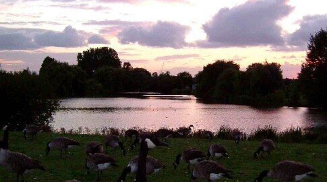 Evening at Mayesbrook Park. This is the view across the Lake in Mayesbrook Park; Upney Southeast of Barking. The photograph was taken looking westward. The ponds are at the southern end of the park. There are many sports fields at the northern end towards the University of East London.