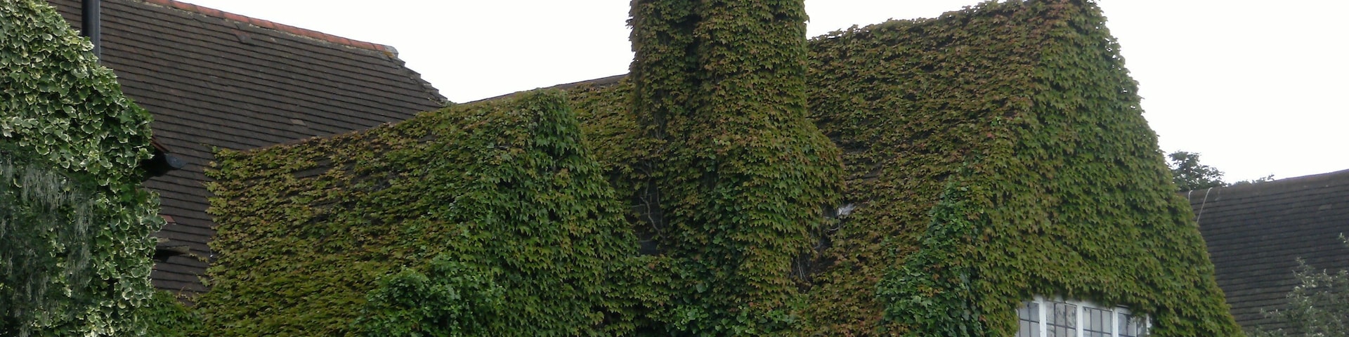 Ivy-covered house on Hampstead Way, London NW11.