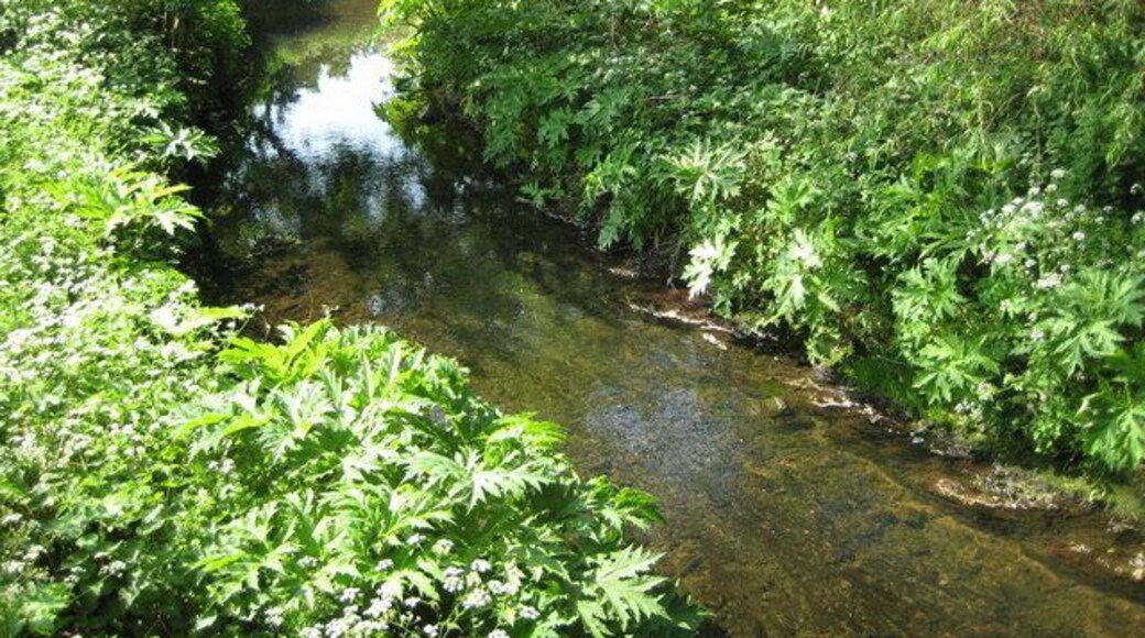 River Pinn near Cowley Viewed looking downstream from near the Robbie Bell Bridge, the Pinn is a tributary of the River Colne. The water here was very clear.