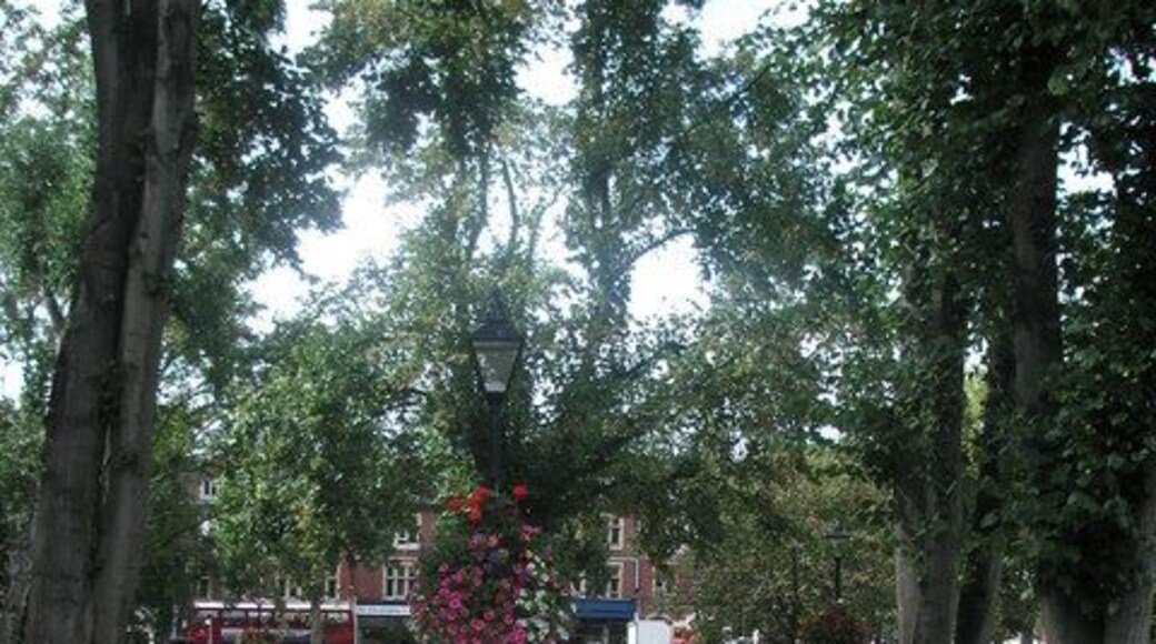 Beckenham Green