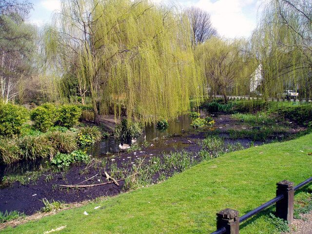 Small tributary of River Cray