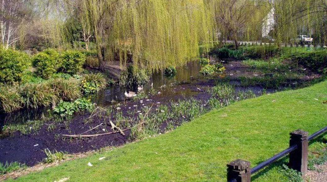 Small tributary of River Cray