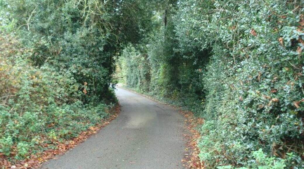 Chapmans Lane, St Paul's Cray