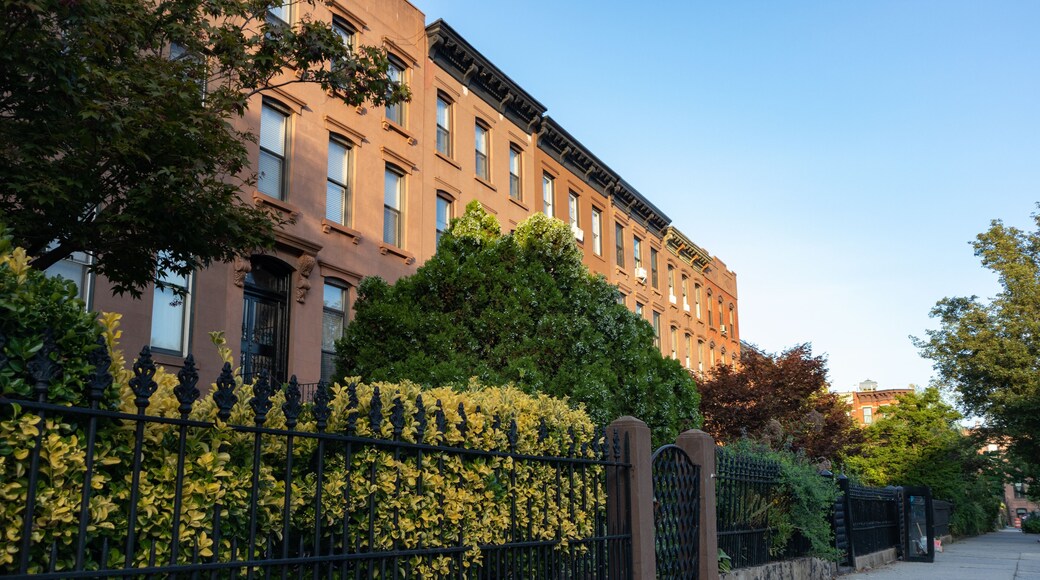 Beautiful Sidewalk and Row of Old Homes in Carroll Gardens Brooklyn of New York City