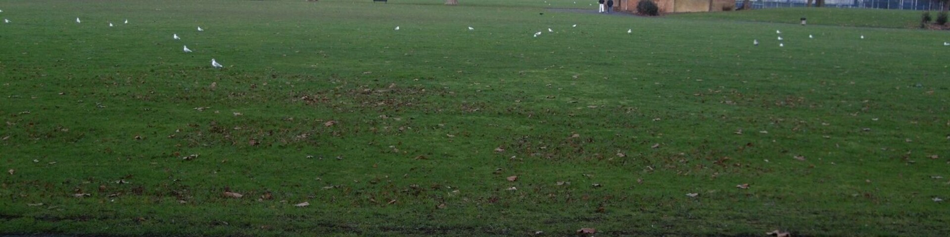 Large expanse of grass alongside the Grand Union Canal, to the south of Southall. Photo taken December 2008. Owner: London Borough of Ealing.