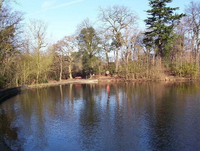 Moat Mount Lake. The lake has a tarmac path running right around. This picture shows some of the rare trees growing here.