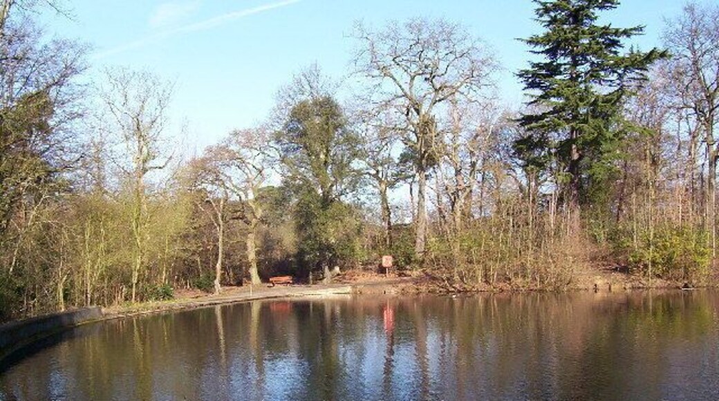 Moat Mount Lake. The lake has a tarmac path running right around. This picture shows some of the rare trees growing here.