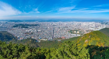 Chilseong-dong