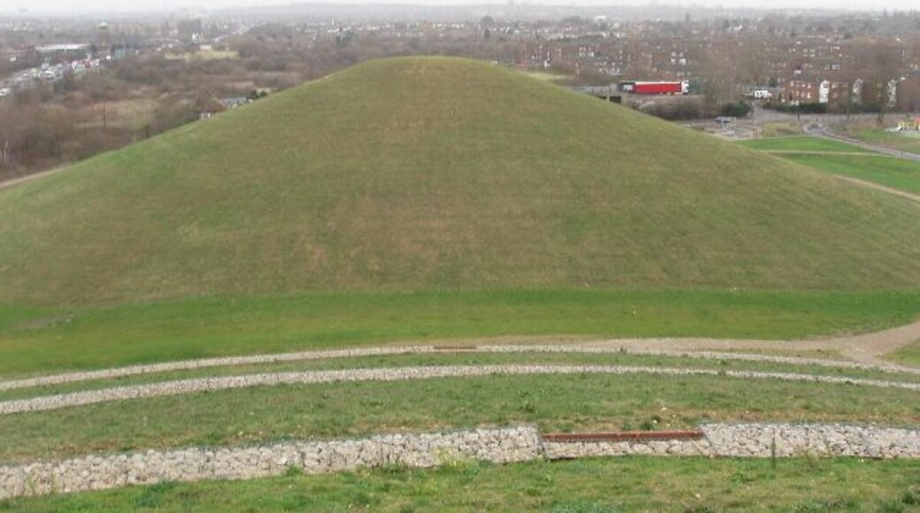 Northala Fields mound viewed from another mound. Two of the conical mounds at Northala fields are available for the public to view. For a photo in June 2005 when the project started see 17543. By November 2006 some of the mounds had taken shape (see 275147), filled with demolition material from Wembley Stadium and White City. The photograph is taken from the biggest mound which has a gently rising spiral walkway to the top. Three turns of the spiral can be seen in the foreground. Beyond is a grassy mound open to the public but with no marked path.
