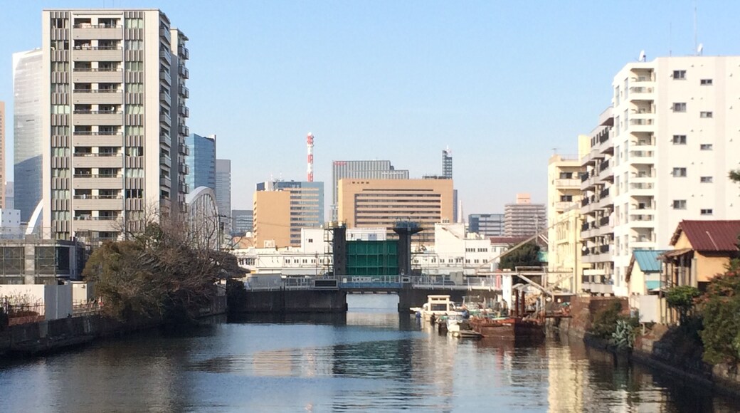 新島橋から新月島川をながむ。