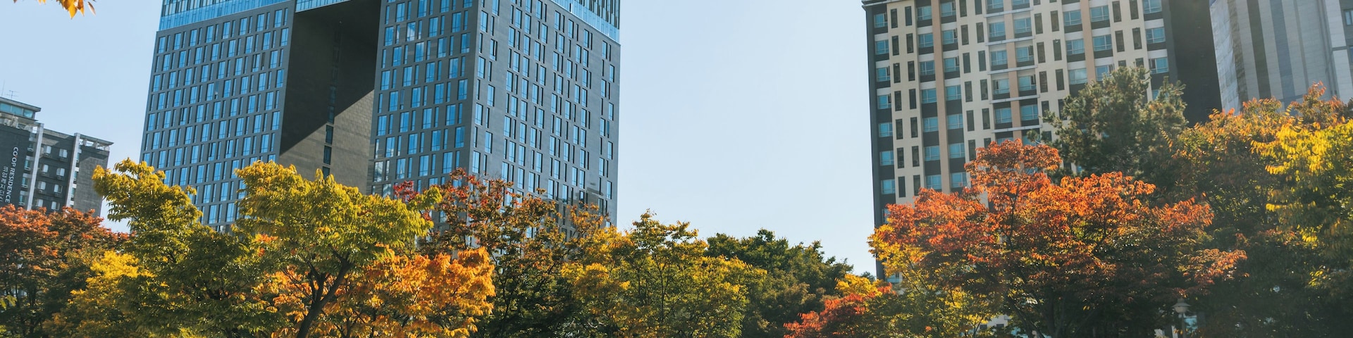 Uma praça urbana moderna com árvores de outono, um edifício de vidro azul e edifícios altos ao redor.