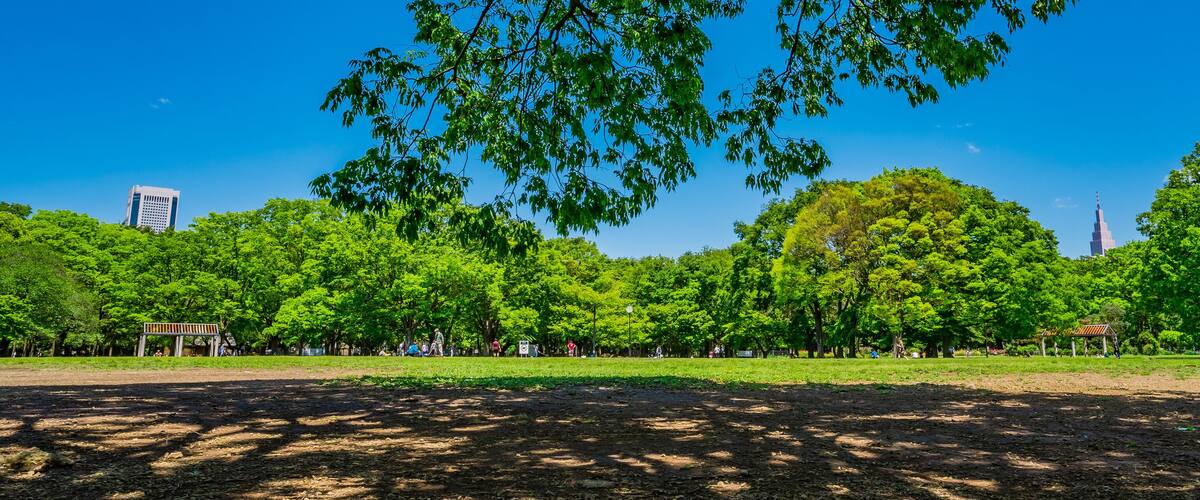 東京 渋谷 代々木公園 ~ Yoyogi Park, one of the largest parks in Tokyo, Japan ~
