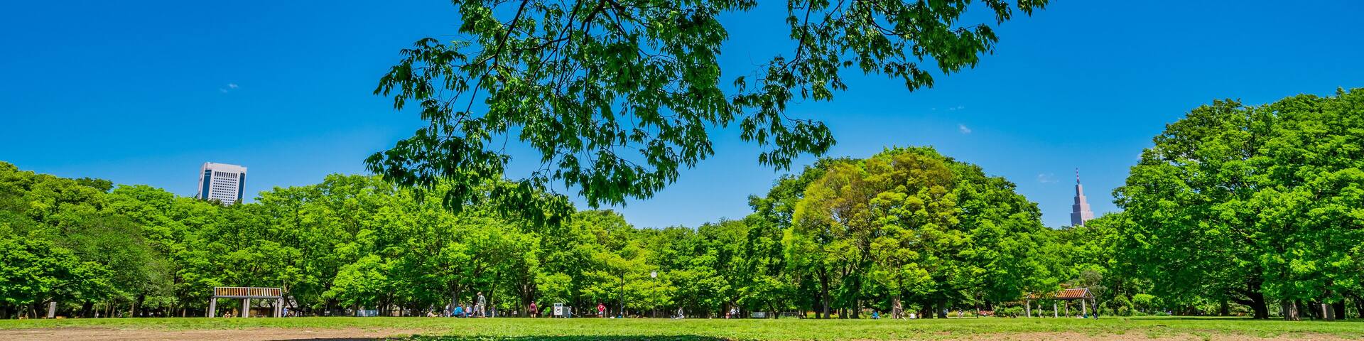 東京 渋谷 代々木公園 ~ Yoyogi Park, one of the largest parks in Tokyo, Japan ~