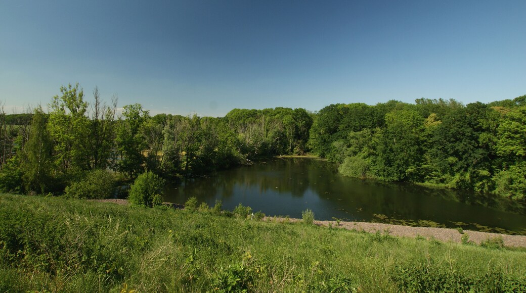 Das Foto wurde zeigt (rechts im Bild) den westlichen Rand des Naturschutzgebiets Burgaue (NSG 162642), vgl. Geotag