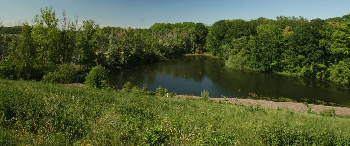 Das Foto wurde zeigt (rechts im Bild) den westlichen Rand des Naturschutzgebiets Burgaue (NSG 162642), vgl. Geotag