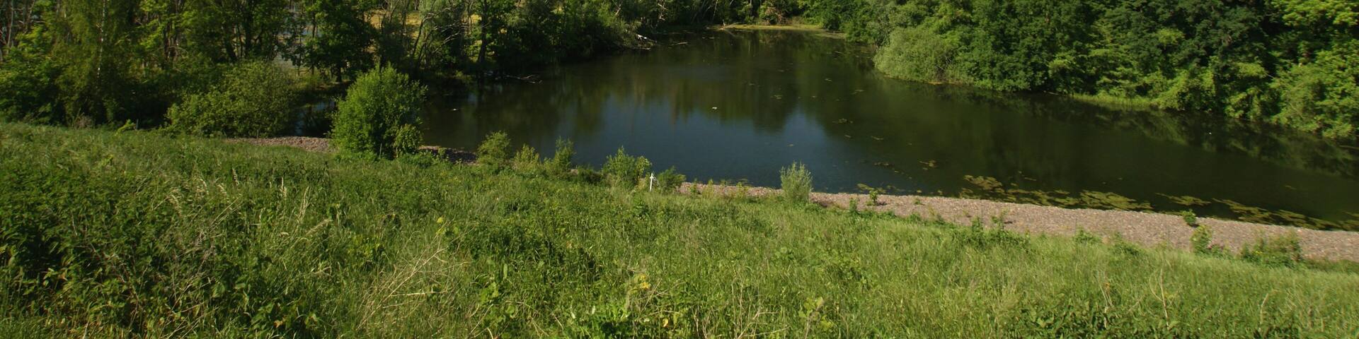 Das Foto wurde zeigt (rechts im Bild) den westlichen Rand des Naturschutzgebiets Burgaue (NSG 162642), vgl. Geotag