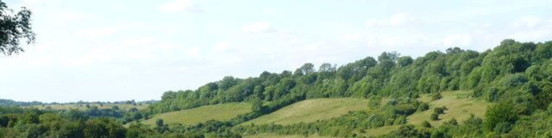 Happy Valley, Surrey Not a house in sight, although dense housing is only a mile away. Happy Valley is used by walkers, horse riders, and cyclists.