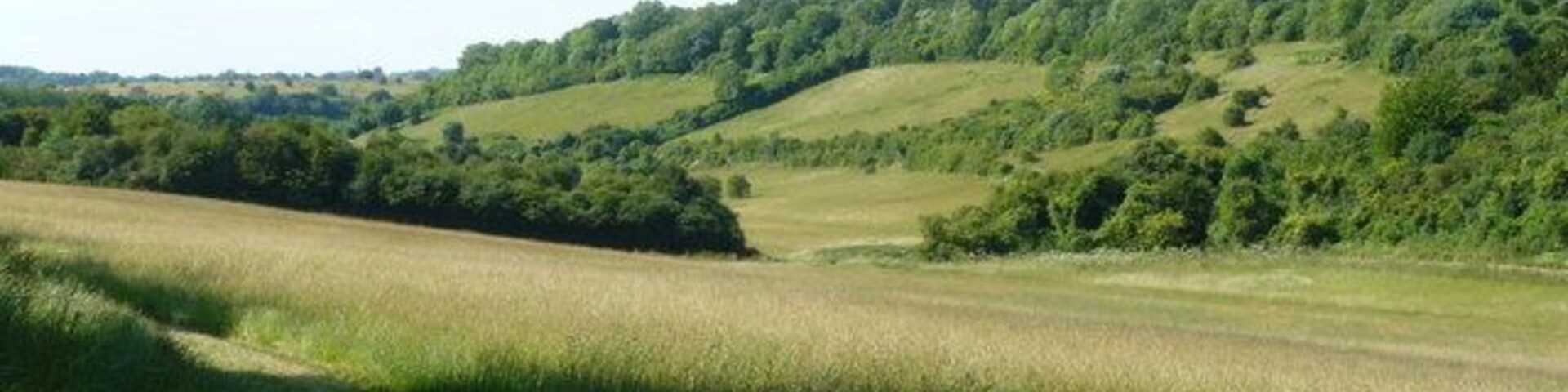 Happy Valley, Surrey Not a house in sight, although dense housing is only a mile away. Happy Valley is used by walkers, horse riders, and cyclists.