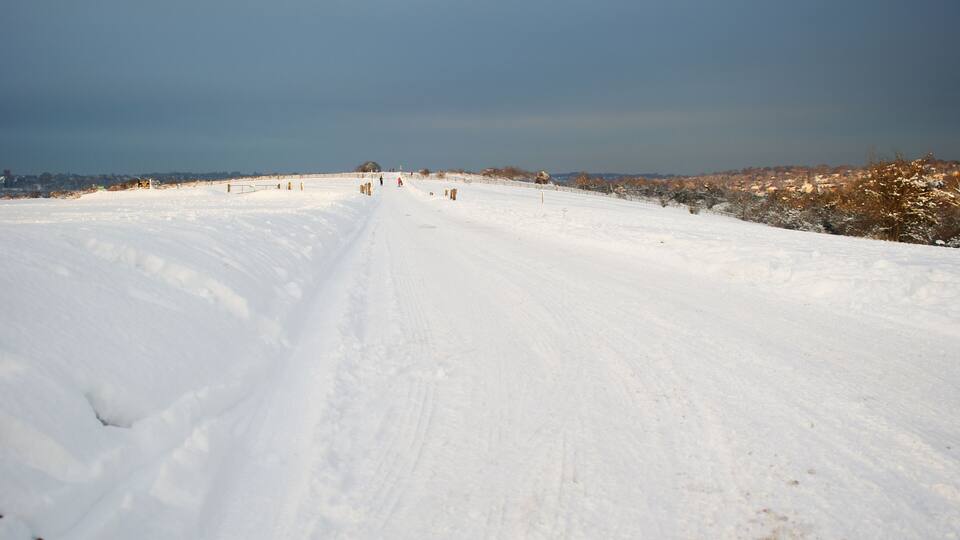 Fun in the Snow In the distance, families, complete with sledges, are making the most of the snow on the top of Farthing Downs, Surrey.