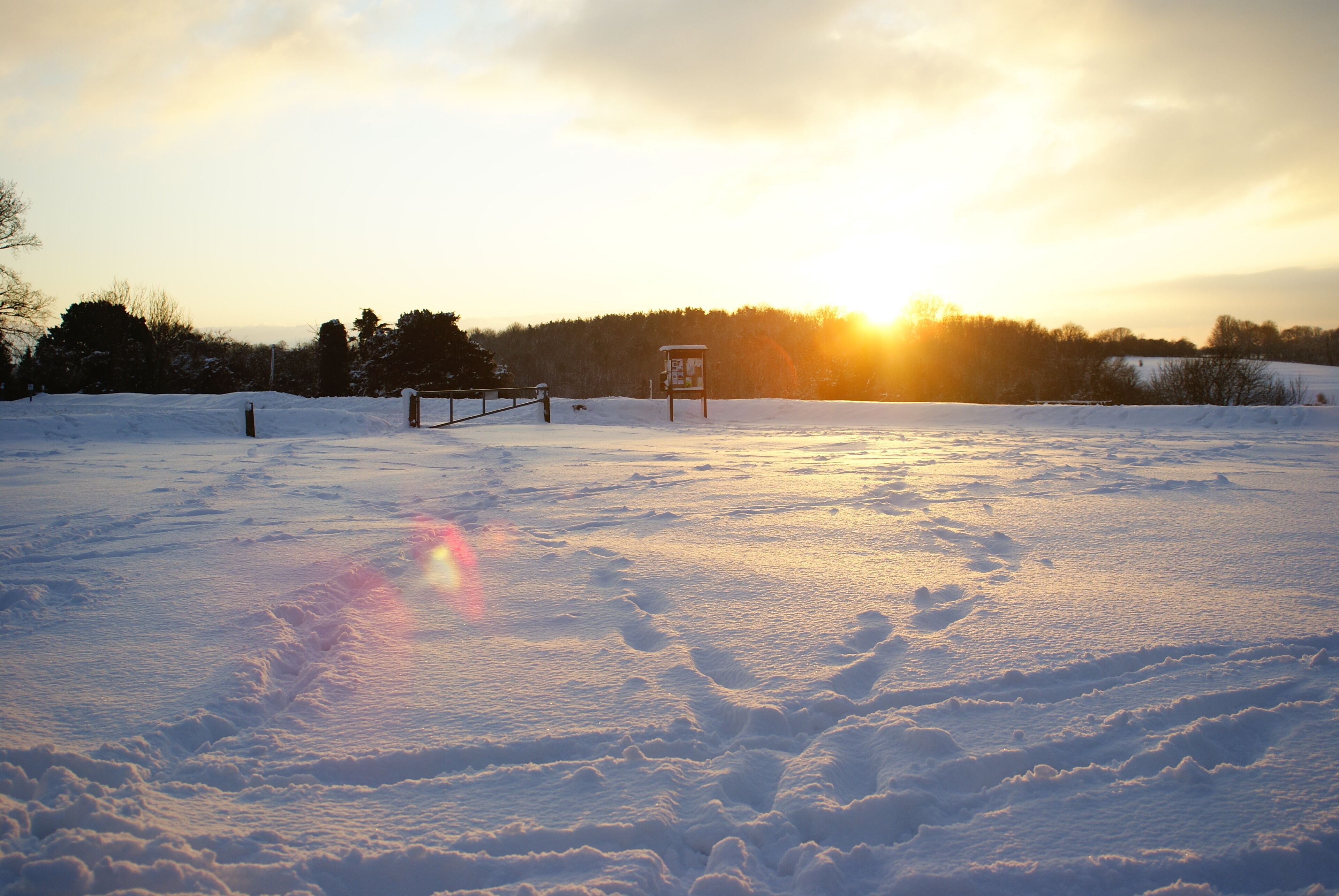 Afternoon sun on Farthing Downs The late afternoon sun drops behind the woods, near Netherne-on-the-Hill, Surrey. The temperature, at freezing point (or lower), was dropping too.