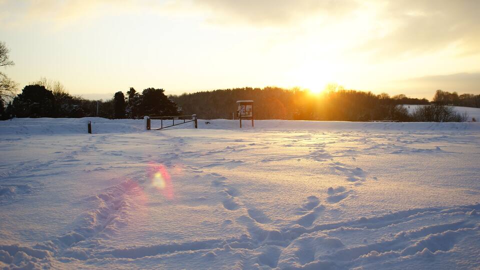 Afternoon sun on Farthing Downs The late afternoon sun drops behind the woods, near Netherne-on-the-Hill, Surrey. The temperature, at freezing point (or lower), was dropping too.