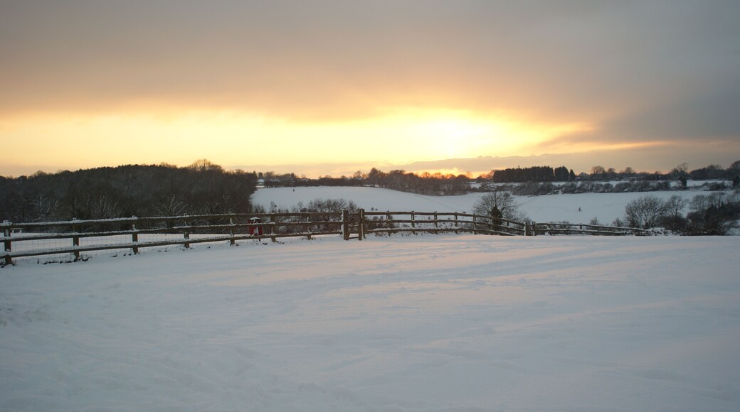 Winter on the North Downs View from Farthing Downs, in the direction of Hooley. This was about 15 minutes before sunset, and the sun was obscured by cloud. Cattle graze, here, in the summer months, and the fence, to the left of picture, forms one of the boundaries. There are also cattle grids on the road.