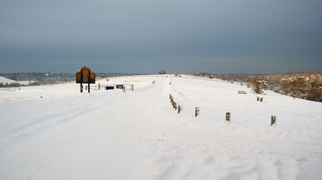 Looking North From Farthing Downs The outline of Farthing Downs, with its covering of snow, can clearly be seen. The car park, popular in summer months, lies out of picture, to the left.