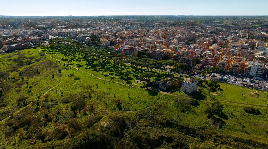 พริมาวัลเล