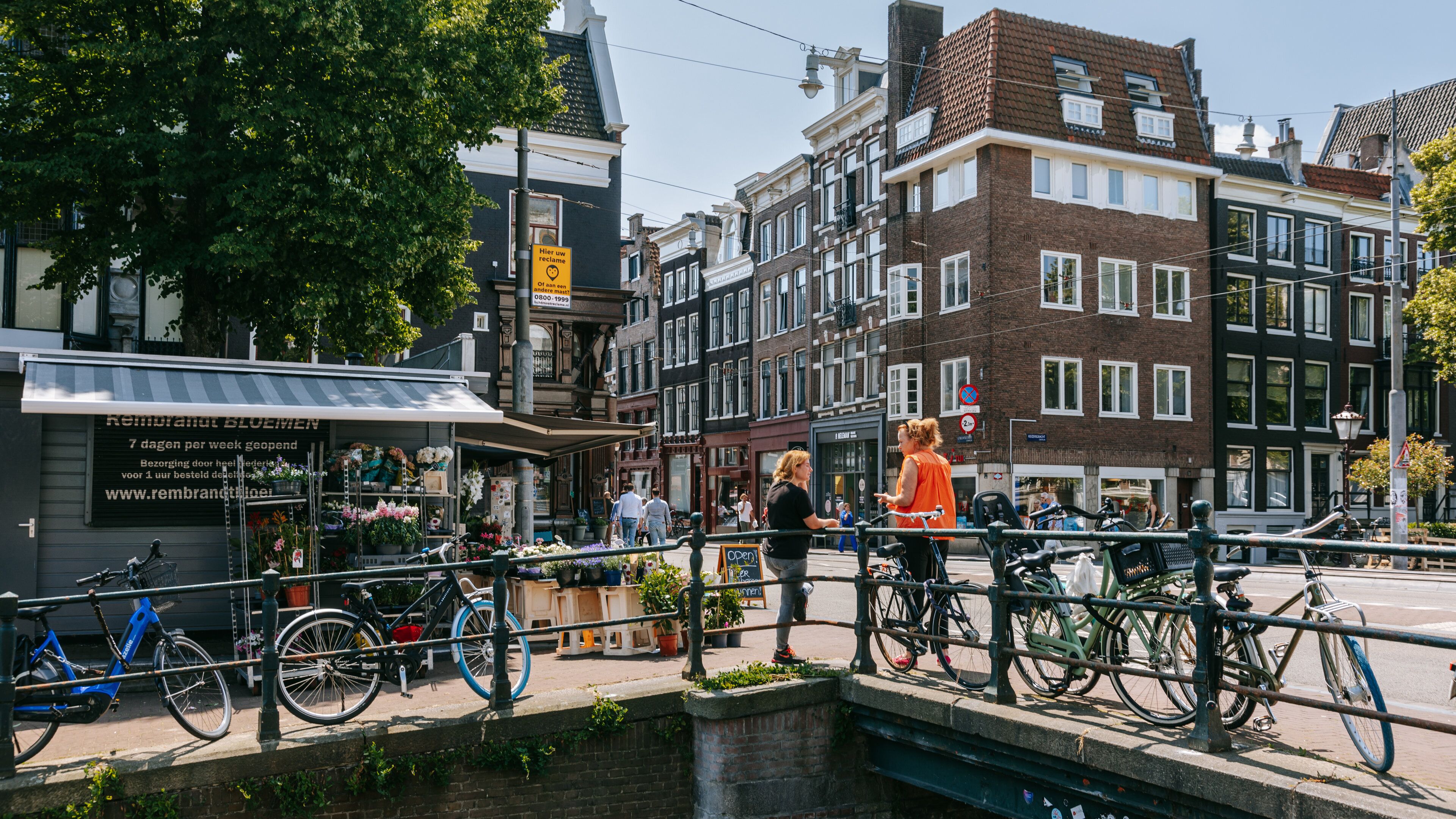 Grachtengordel-Zuid showing street scenes as well as a couple